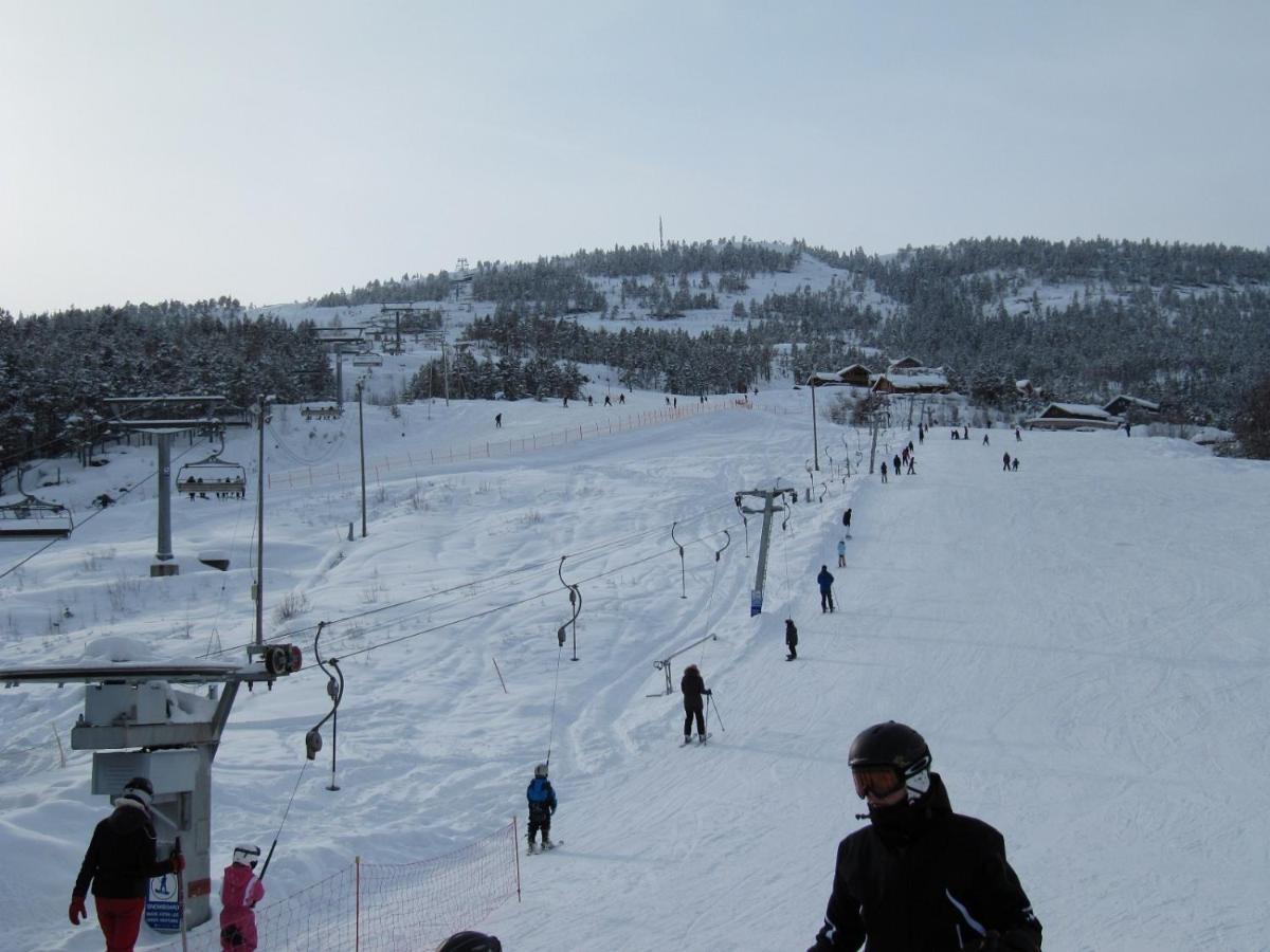 Vradal Panorama - Tiurasvegen 39 Villa Luaran gambar