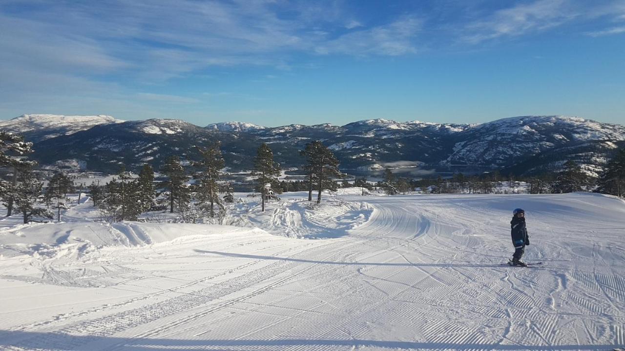 Vradal Panorama - Tiurasvegen 39 Villa Luaran gambar