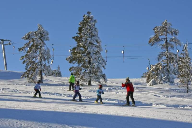 Vradal Panorama - Tiurasvegen 39 Villa Luaran gambar