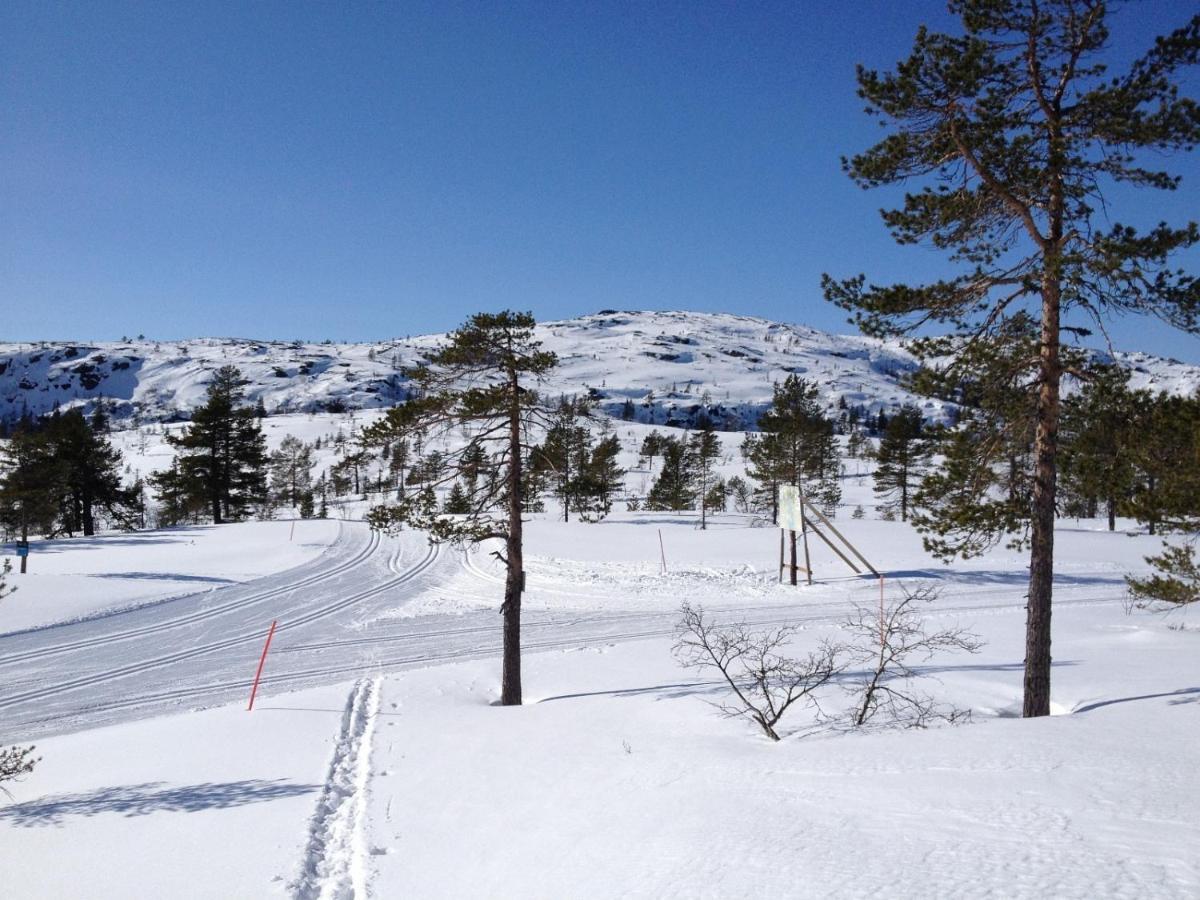 Vradal Panorama - Tiurasvegen 39 Villa Luaran gambar